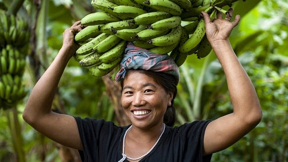 Eine Frau sammelt Bananen und balanciert sie auf dem Kopf, um sie zu tragen.