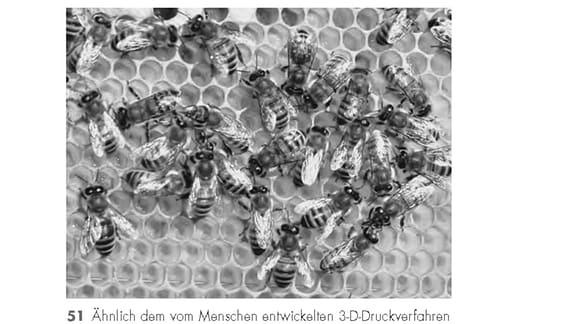 Der Text dieser Seite befasst sich mit der 3-D-Drucktechnik. Das eingefügte Bild zeigt Bienen beim Wabenbau, die dazu ein vergleichbares Verfahren anwenden.