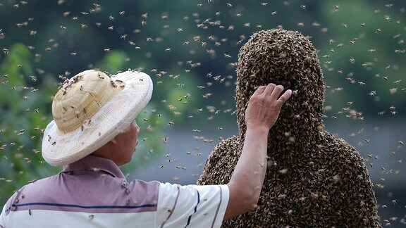 Ein Mann unter einer Bienenkolonie