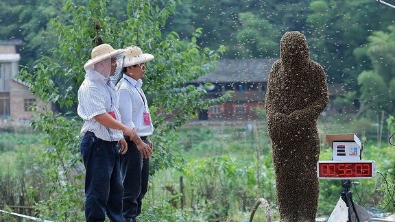 Ein Mann von einer Bienenkolonie besetzt