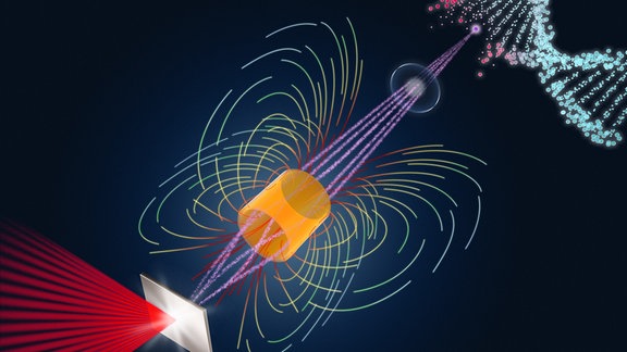 Künstlerische Darstellung des Experiments. Von links nach rechts: Der Laser trifft auf das Target (eine dünne Folie), die beschleunigten Protonen (violett) werden durch gepulste Magnete (orange) zum Bestrahlungsort geleitet und wechselwirken dort mit der biologischen Probe, dargestellt durch DNA-Schäden.