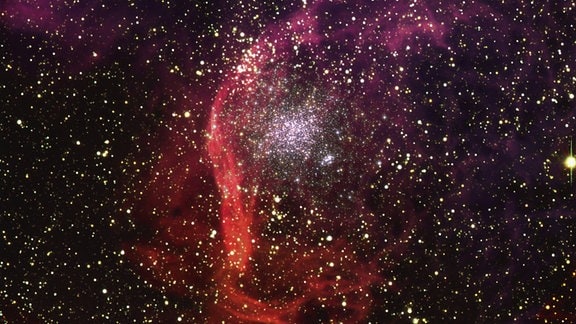 Sternhaufen NGC 1850 aus der Sicht des Very Large Telescope und Hubble