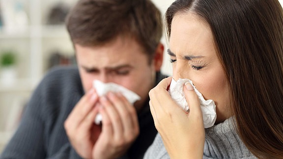 Zwei Menschen mit verschnupften Nasen schneuzen ins Taschentuch.