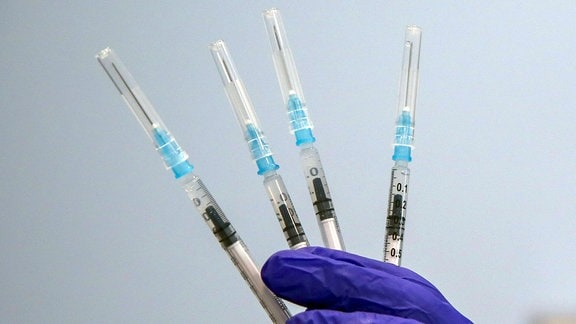 Eine Hand in einem lila Handschuh hält vier Spritzen mit Impfstoff in die Luft.