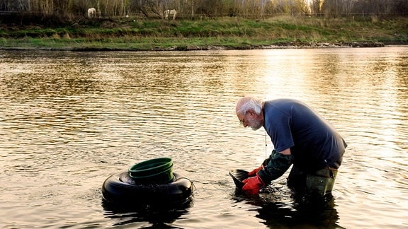 Abendstimmung an einem Fluss in Frankreich: Älterer Herr sucht mit Schüssel und schwimmenden Eimer nach gebückt nach Gold in Fluss, der durch die Abendsonne goldgelb glänzt.