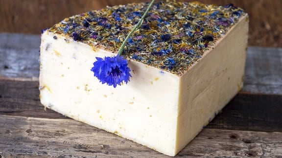 Ein Viertel Käse mit kräuterähnlicjer Rinde aus Wildblumenblüten, darüber liegend eine blaue Kornblume mit Stängel 