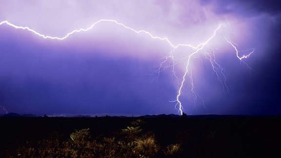 Blitzschlag über der Wüste, Big-Bend-Nationalpark, West-Texas, USA