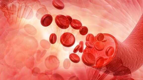 3D-Darstellung roter Blutkörperchen