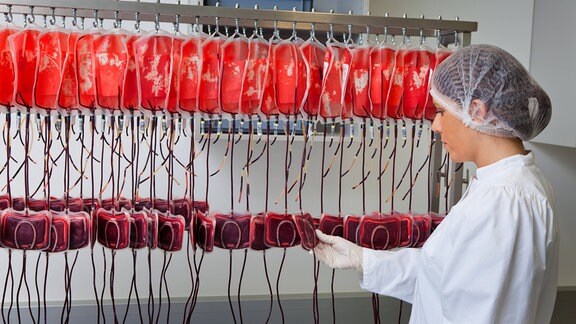 Eine Ärztin untersucht im Blutlabor die gespendeten Blutkonserven.