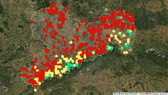 Karte von Sachsen mit Daten über die Trockenheit in den Böden der Wälder.