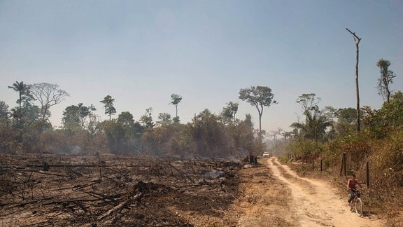 Brandrodung Amazonas Regenwald
