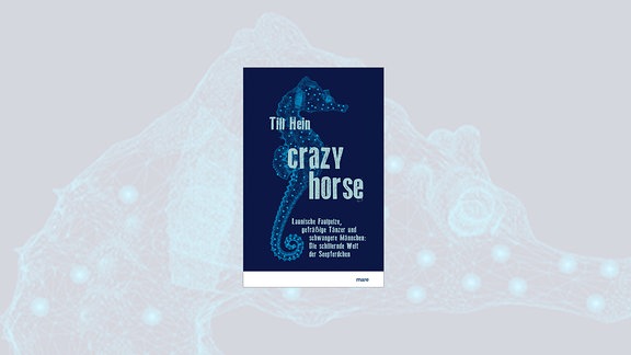 Das dunkelblaue Cover zeigt ein formatfüllendes Seepferdchen, ebenfalls dunkelblau, aber mit hellblauen Rändern und hellblauen Punkten. Darüber Autor und Titel des Buchs. 