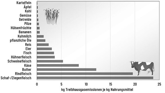 Die Grafik zeigt die Emissionen, die auf unterschiedliche Nahrungsmittel zurückzuführen sind. Von Kartoffeln (mit den geringsten Emissionen) bis hin zu Schaf- und Ziegenfleisch mit dem höchsten Ausstoß.