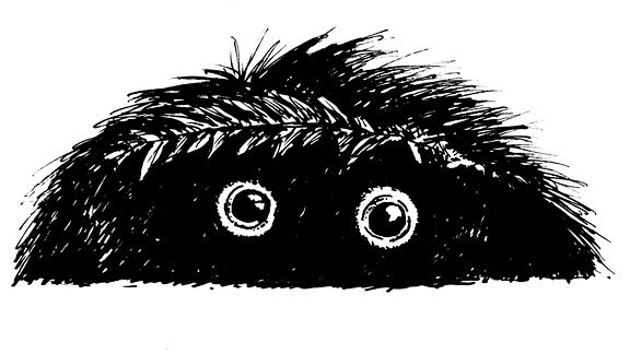 Zeichnung. Tier sieht aus wie ein buschiger schwarzer Haarschopf mit Augen.