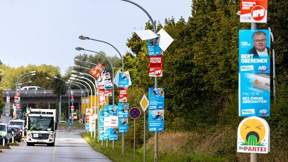 Wahlplakate von AfD, NPD, SPD und Die Partei hängen an Strassenlampen in Stralsund.