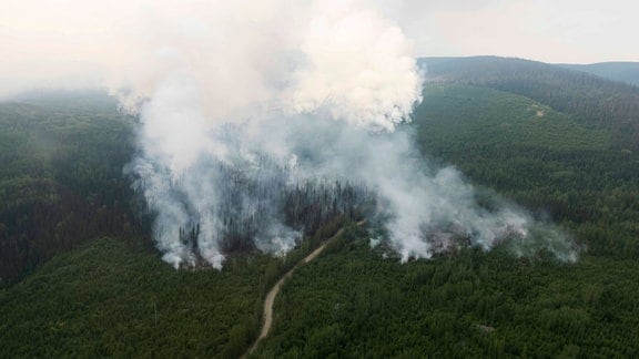 Waldbrände in Canada