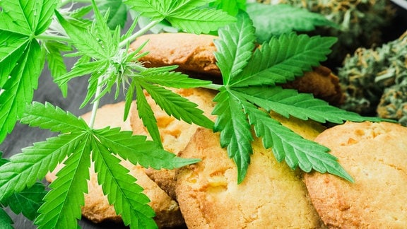 Cannabis Keks
