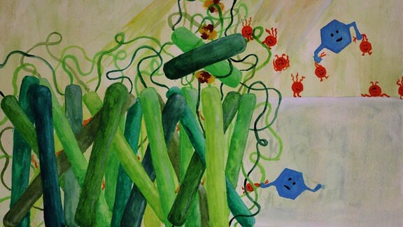 Zeichnung - die Chinone (blau) entnehmen frei werdende Elektronen (rot) aus dem Photosyntheseprozess.