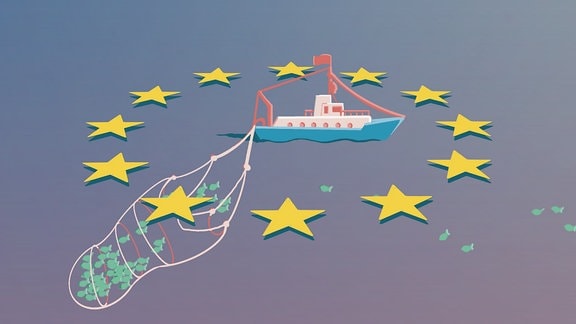 Illustration in bunten, gedeckten Farben: Schiff fährt auf Meer und ist von EU-Sternen auf Wasser umkreist, zieht sehr großes Fangnetz mit Fischen hinter sich her 
