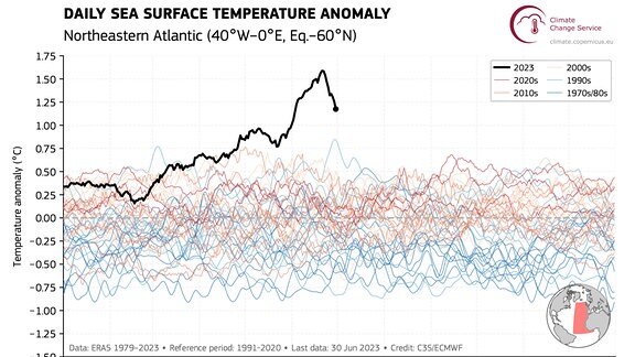 Grafik, die Temperaturverlaufskurven zeigt.