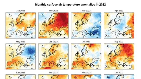 Mosaik mit 12 Hitzekarten von Europa für die Monate Januar bis Dezember.
