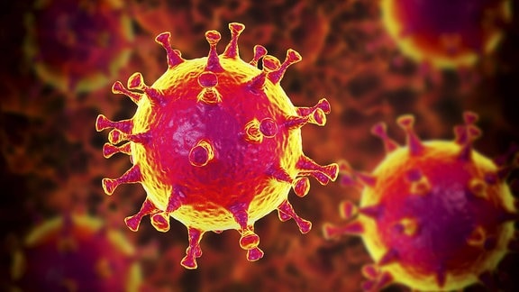 Modell des Corona-Virus