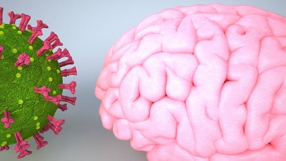 3d-Illustration von Coronavirus und menschlichem Gehirn