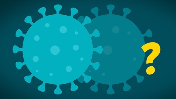 Eine vereinfachte grafische Darstellung zeigt zwei Coronaviren: Bälle mit markanten Krönchen bzw. Stöpseln darauf. Auf dem zweiten Virus sind weniger Stöpsel zu sehen und der Virus wird blasser dargestellt.