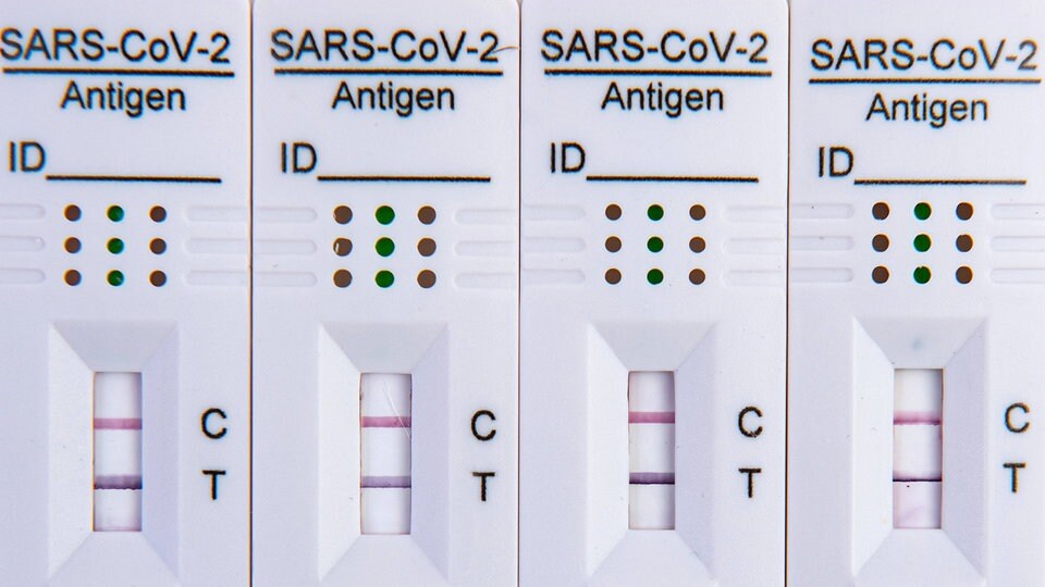 Studie CoronaSchnelltests erkennen Omikron schlechter bei asymptomatischen Infektionen MDR.DE