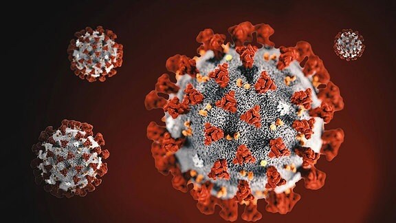 Omikron, Delta, Alpha Und Beta: Die Corona-Varianten | MDR.DE