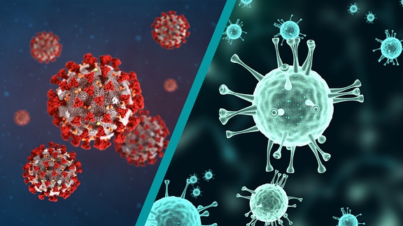 Links die Darstellung des SARS-CoV-2-Virus, rechts die Darstellung des Influenza-Virus