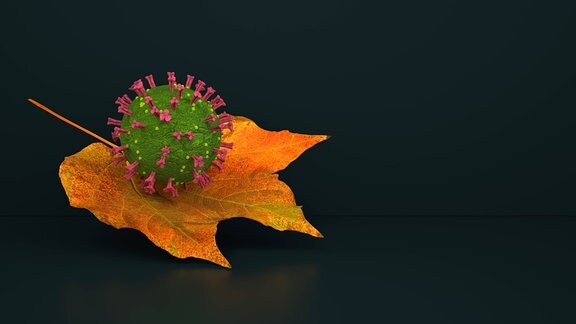 Ein Coronavirus-Modell liegt auf einem herbstlich verfärbten Blatt.