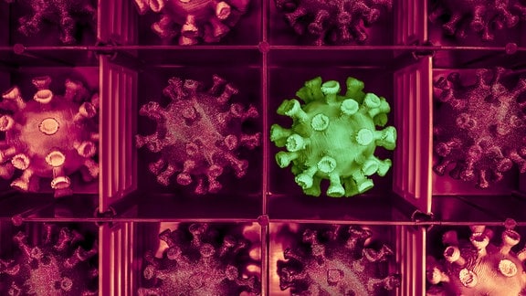 Corona-Virusvarianten in einer Box