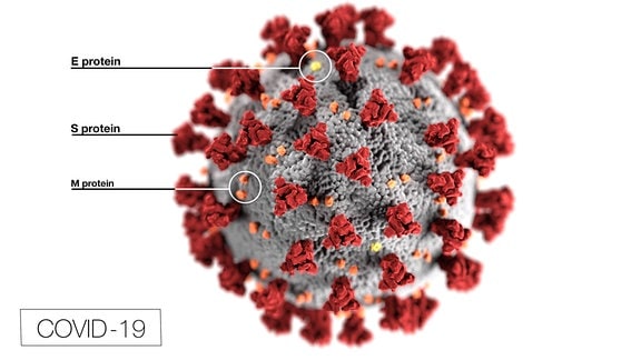 Animation einer Corona Viruszelle