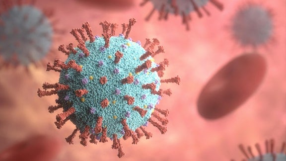 Coronavirus Animation