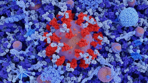 Illustration Coronavirus in Blutplasma