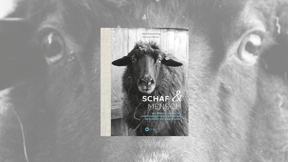 Cover Schaf und Mensch