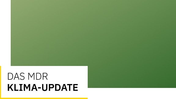 Grüne Fäche mit leichtem Verlauf. Schriftzug "MDR Klima-Update"