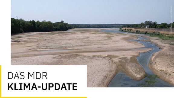 Ausgetrocknetes Flussbett der Loire im Sommer 2022.
