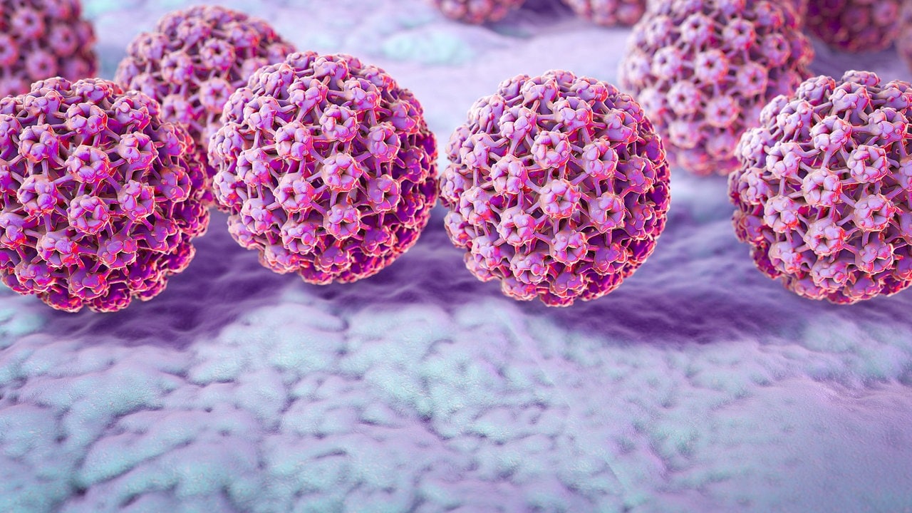 Hpv viren gebarmutterhals - Nyaki rákvizsgálatok