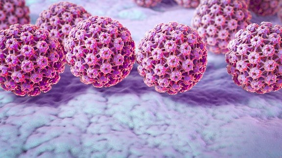 Darstellung HPV Virus