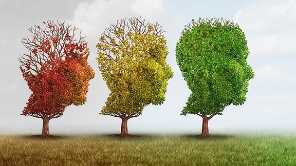 Illustration  zum Therma Gehirn Alzheimer Demenz Denken Vergesslichkeit: Drei Bäume mit Gesichtsumriss, einer mit roter, einer mit gelber, einer mit grüner Laubkrone. Der Baum mit rotem Laub verliert am Hinterkopf" extrem viele Blätter und das Geäst ist zu sehen. 