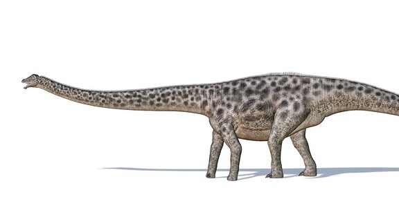 3D-Illustration eines Dinosaurier Diplodocus 