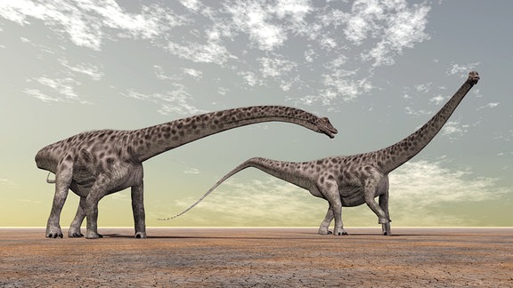 3D-Illustration - Zwei Dinosaurier Diplodocus 
