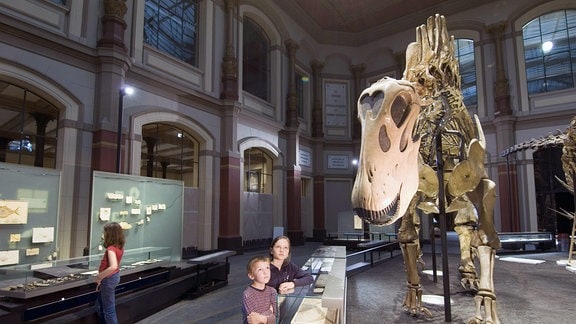 Kinder bestaunen ein Dinosaurierskelett im Berliner Museum für Naturkunde.