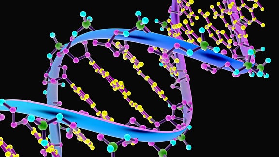 Illustration eines DNA-Moleküls