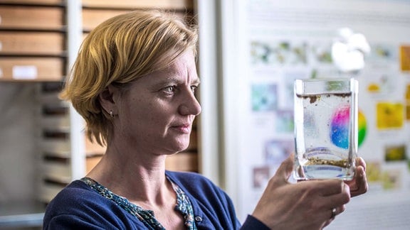 Dr. Doreen Werner hält einen Glasbehälter mit Mückenlarven im Wasser in den Händen.