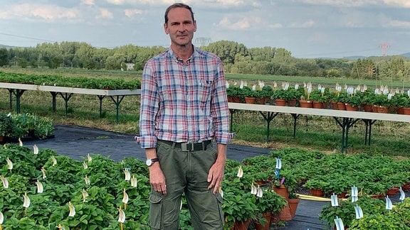 Klaus Olbricht vor Erdbeerpflanzen