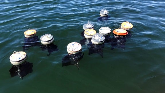 Sogenannte Driftförper treiben im Wasser. Dabei handelt es sich um runde Scheiben, die einen Schwimmkörper unter der Wasseroberfläche haben.