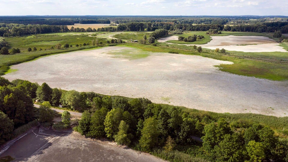 Trockenheit und Hitzewellen weltweit Der KlimawandelSommer 2022 MDR.DE